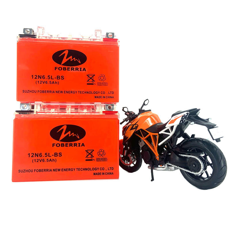 FOBERRIA 12v6ah Motorcycle Lead Acid Battery 12 Volt Dry Cell Battery
